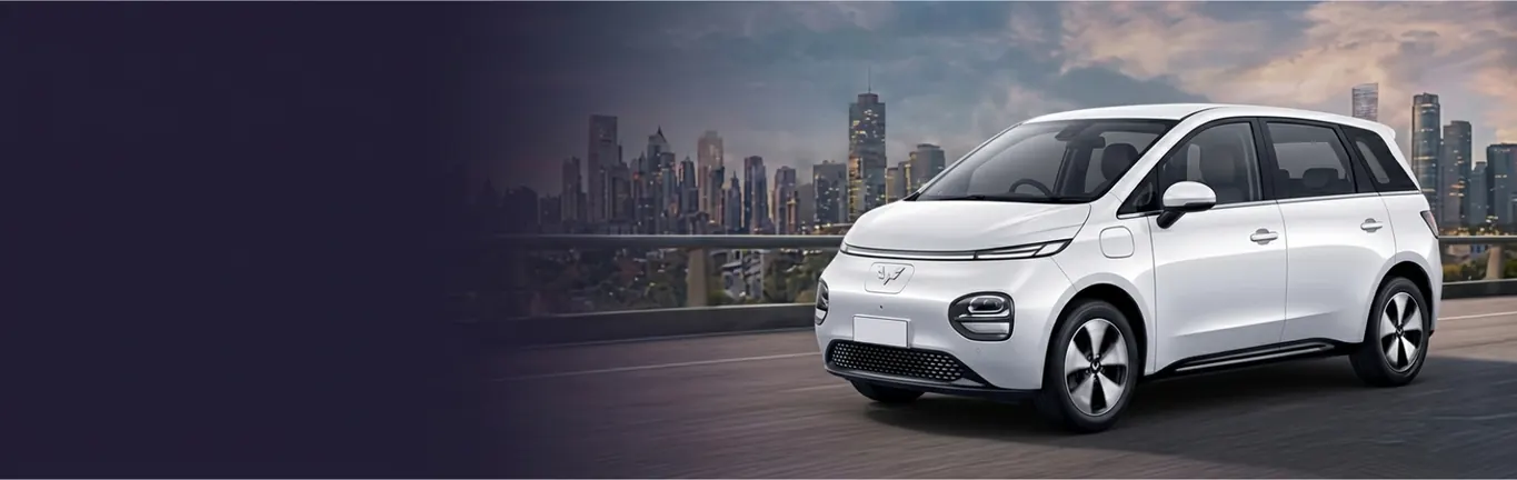 GoZevv premium electric vehicle fleet standard